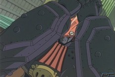 Arm Shields