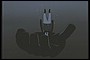 bonnie4.jpg