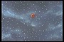 redballoon2.jpg
